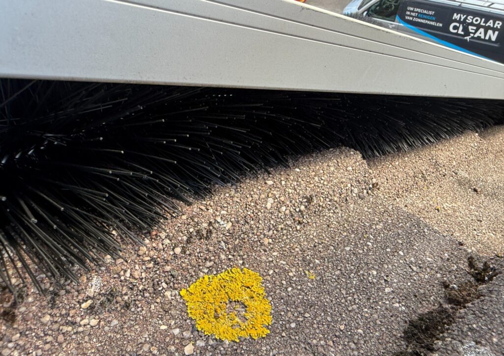 Vogelwering borstels zonnepanelen