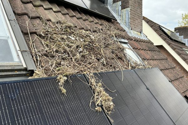 Vogelwering-zonnepanelen-IMG-4227-scaled.jpg Vogelwering-zonnepanelen-IMG-4227-scaled.jpg